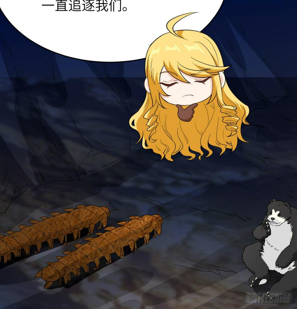 010 双熊斗14