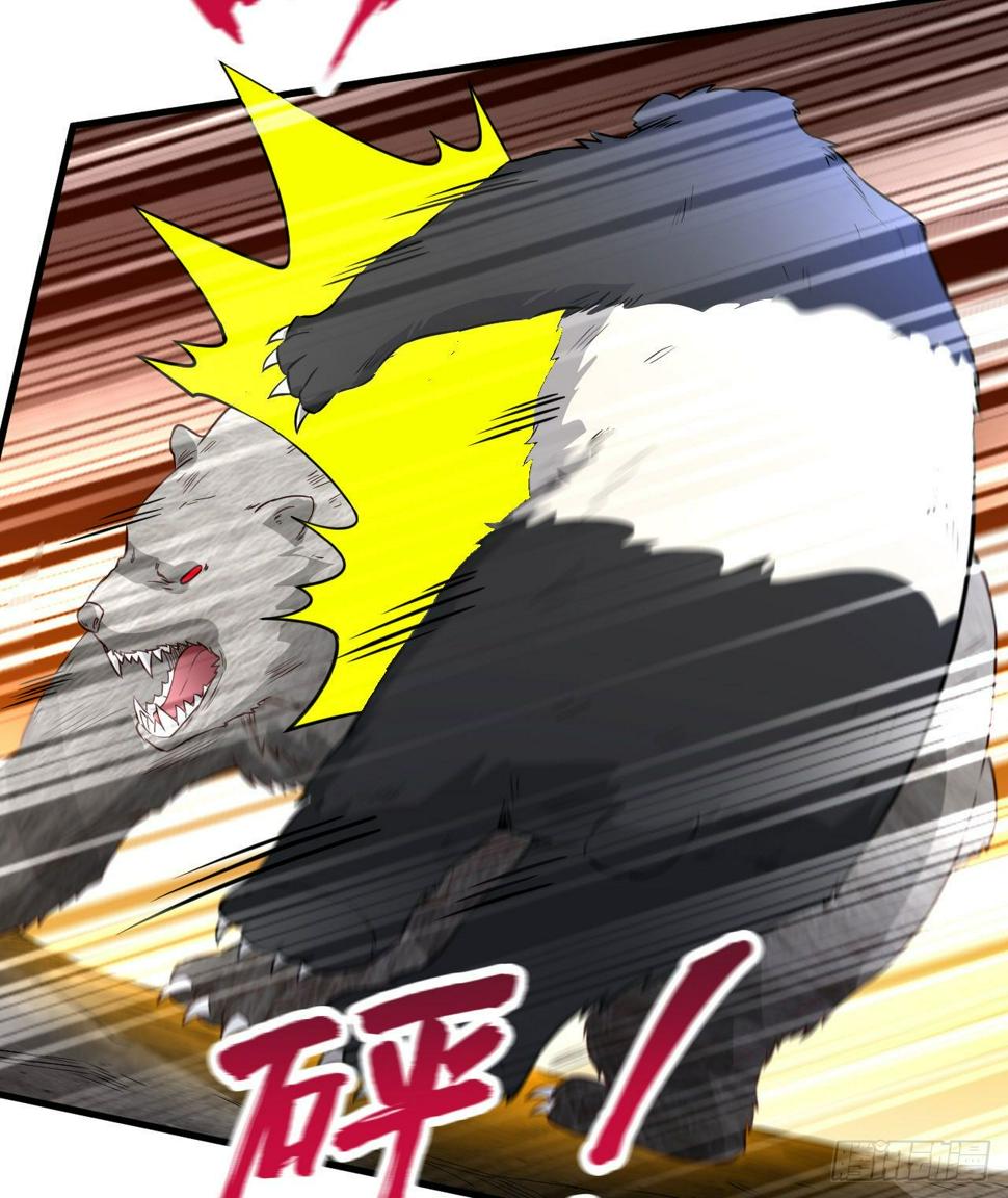 010 双熊斗44