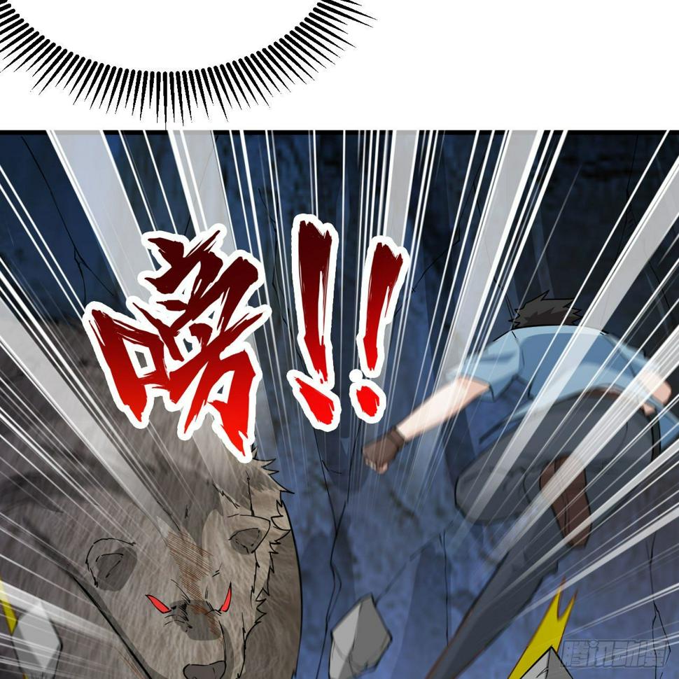 010 双熊斗66