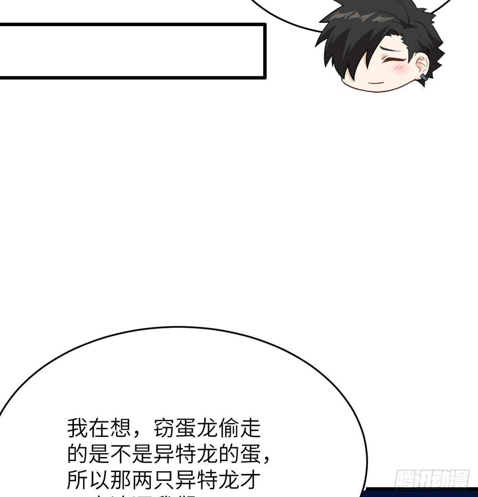 010 双熊斗13
