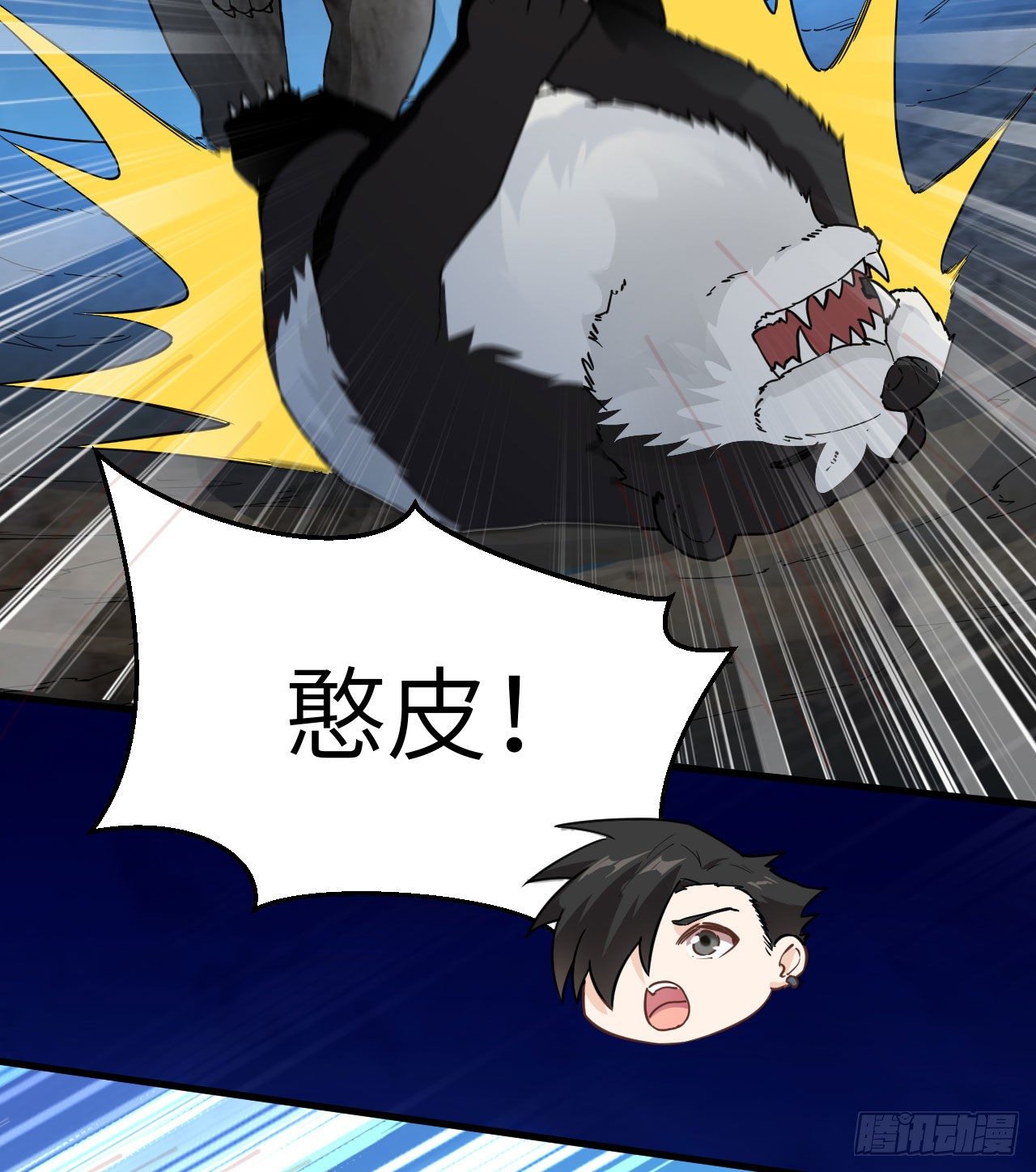 010 双熊斗47
