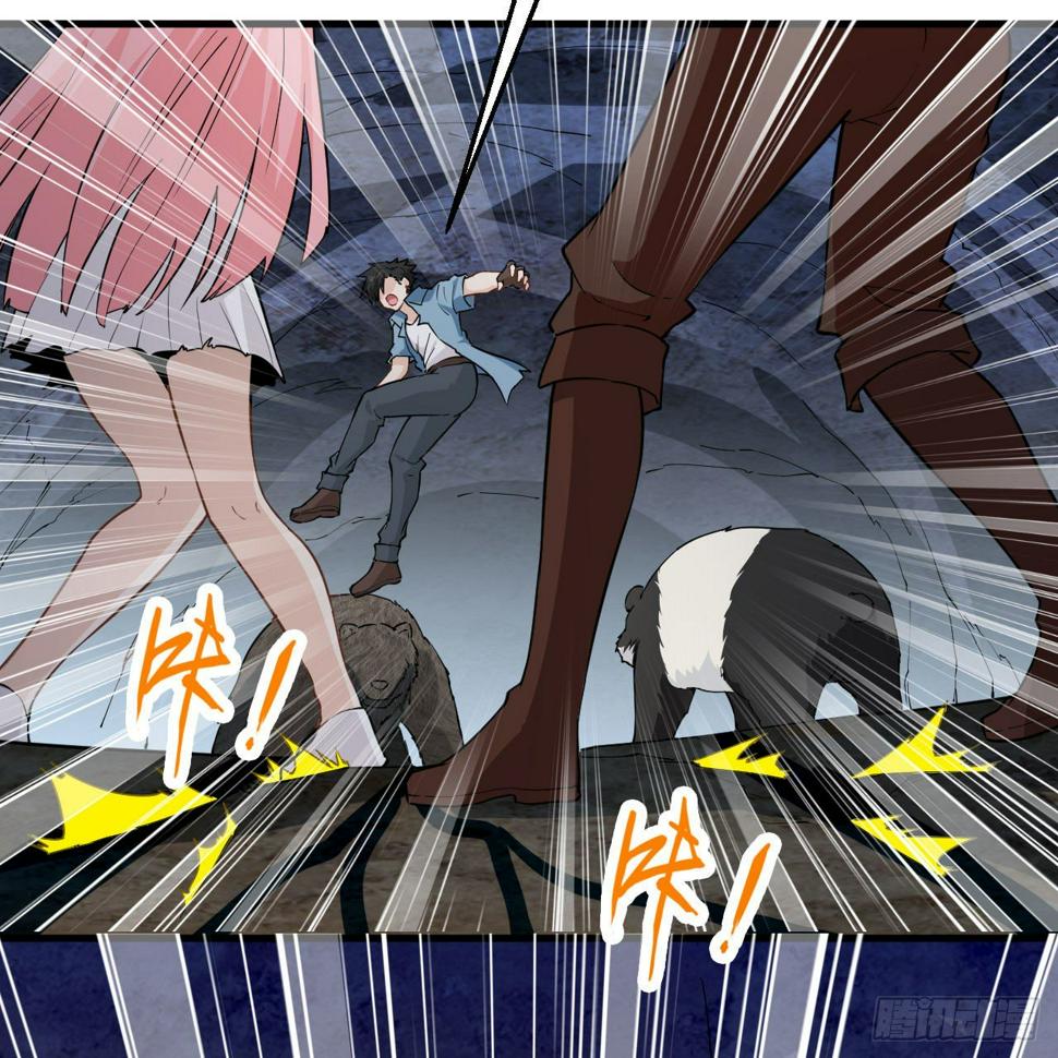 010 双熊斗70