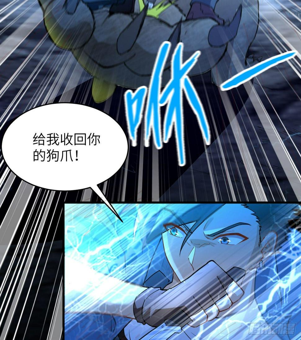 010 双熊斗50