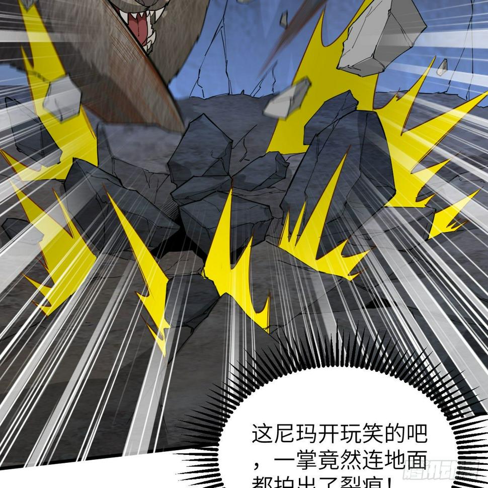 010 双熊斗67