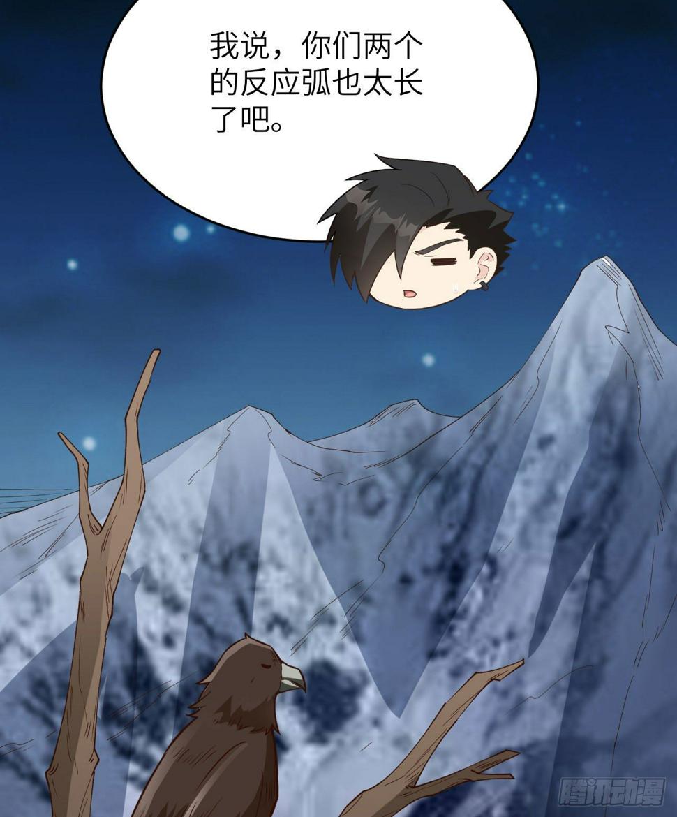 010 双熊斗27