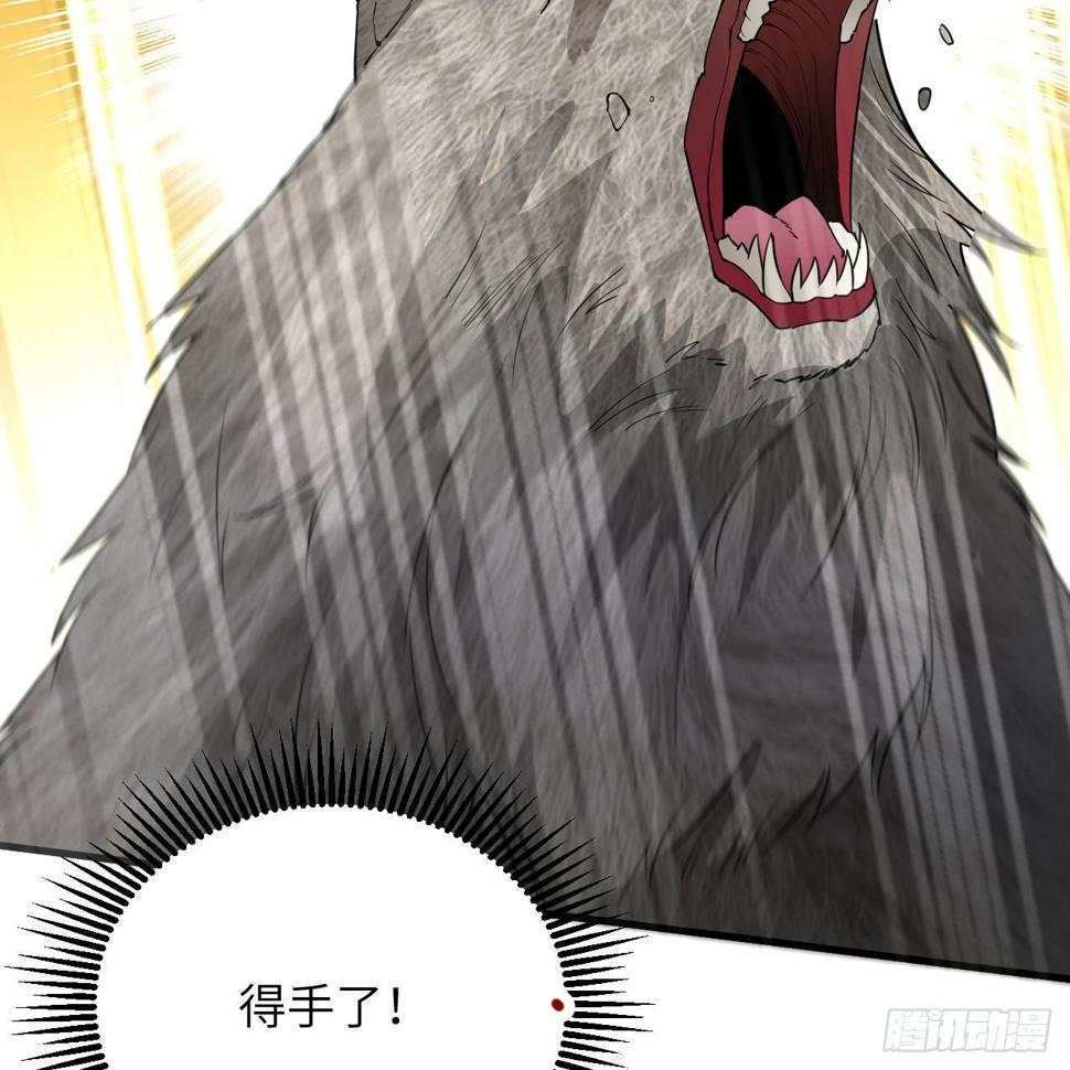 010 双熊斗63