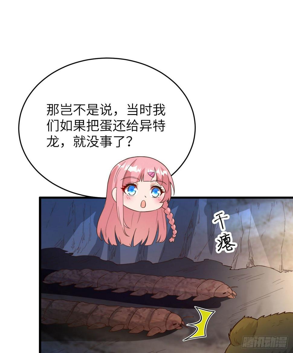 010 双熊斗16