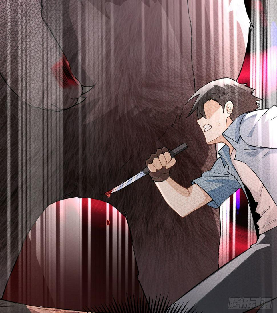 010 双熊斗53