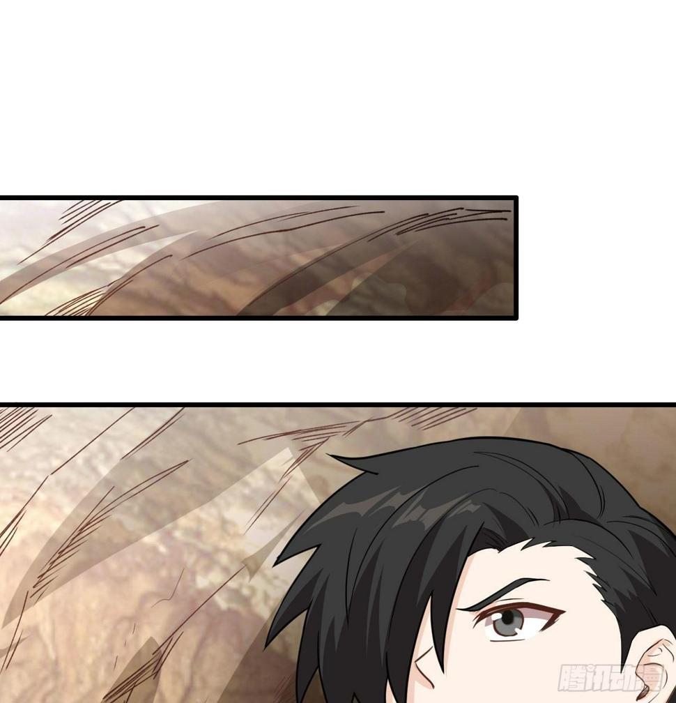 010 双熊斗5