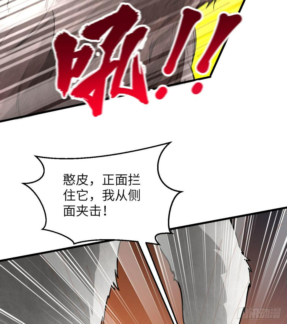 010 双熊斗55