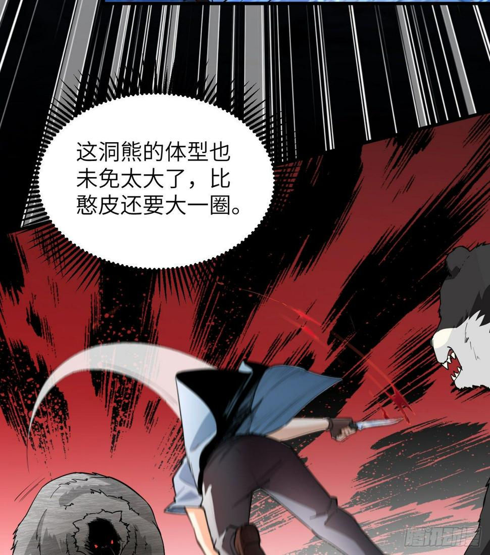 010 双熊斗51