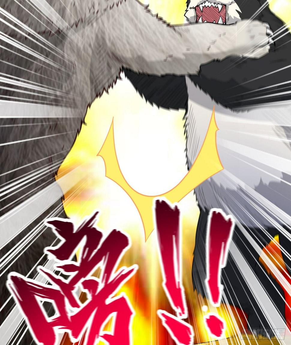 010 双熊斗40