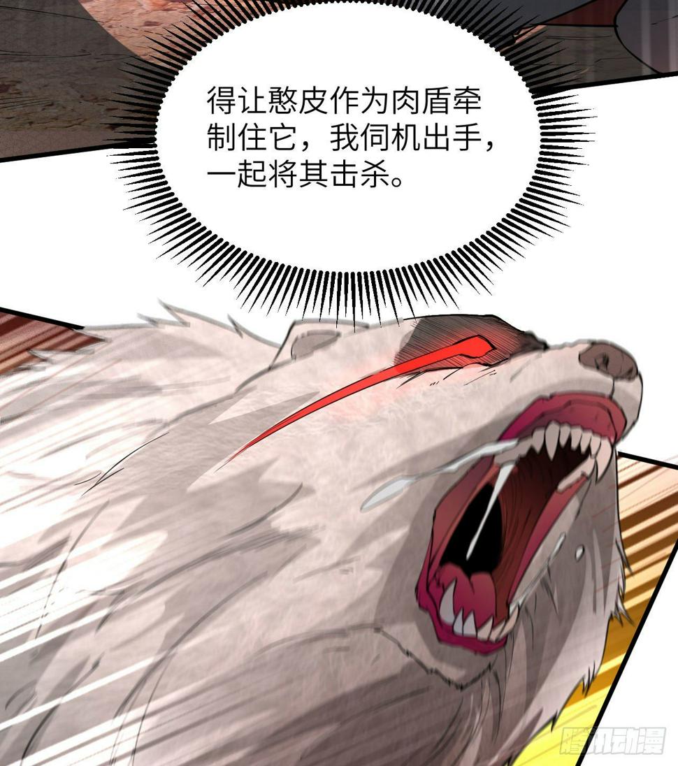010 双熊斗54