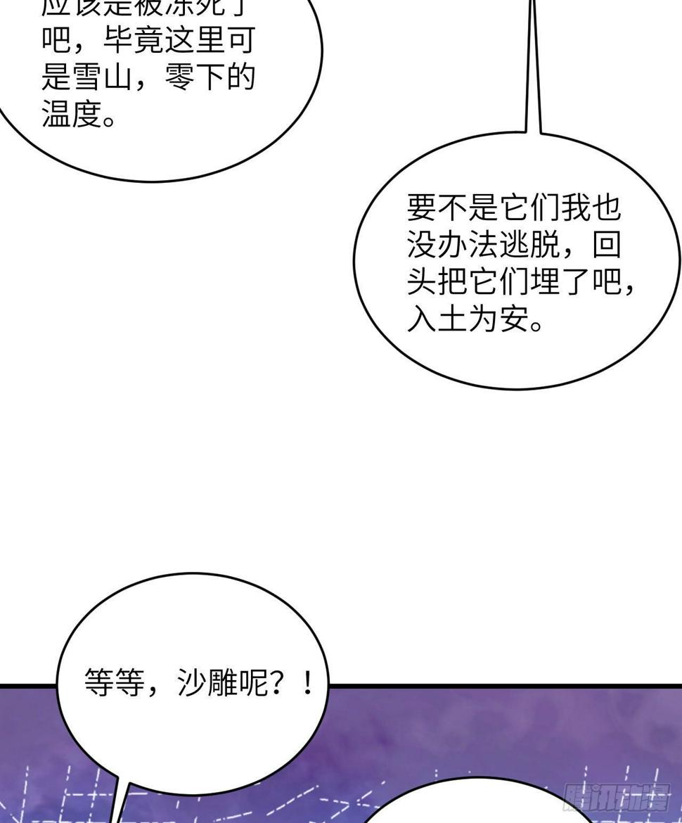 010 双熊斗25