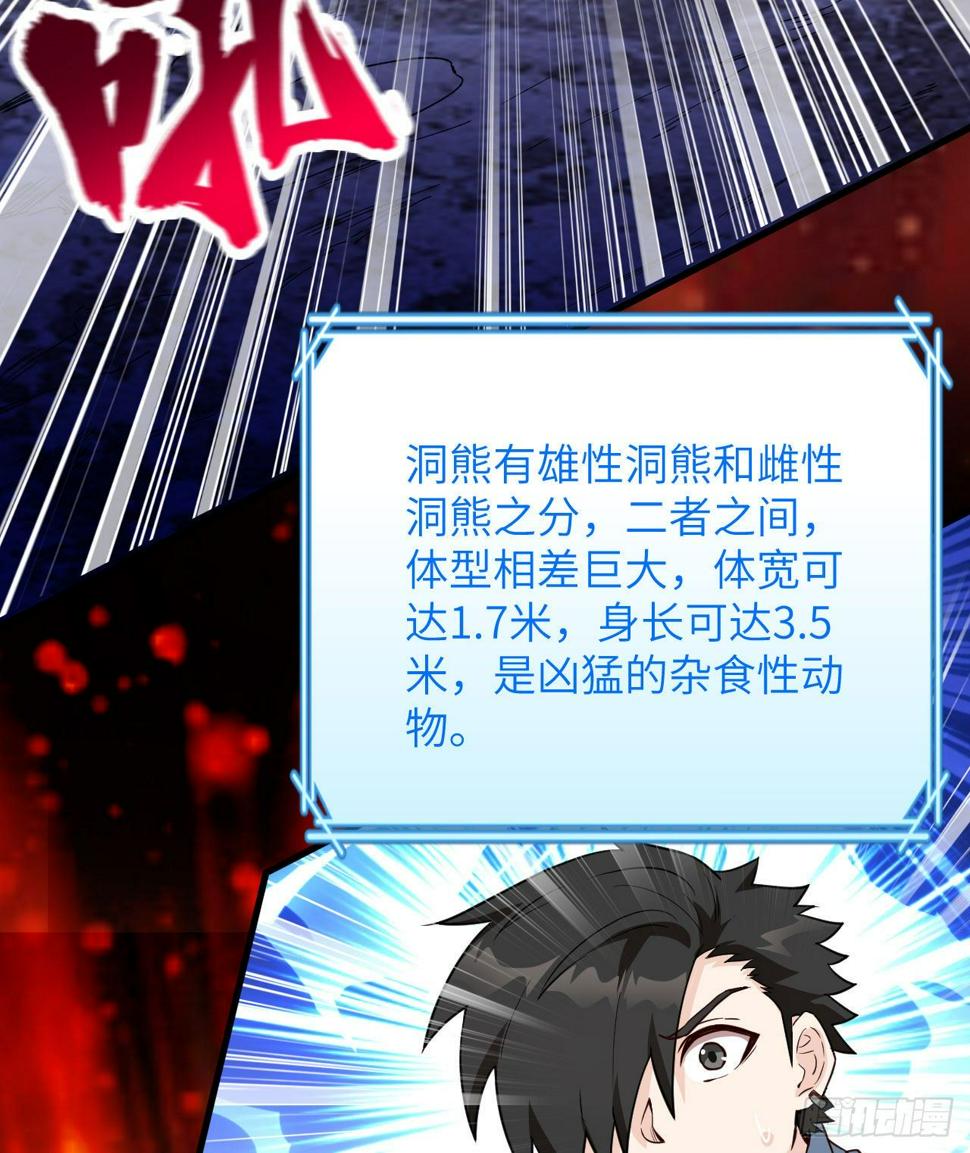 010 双熊斗38