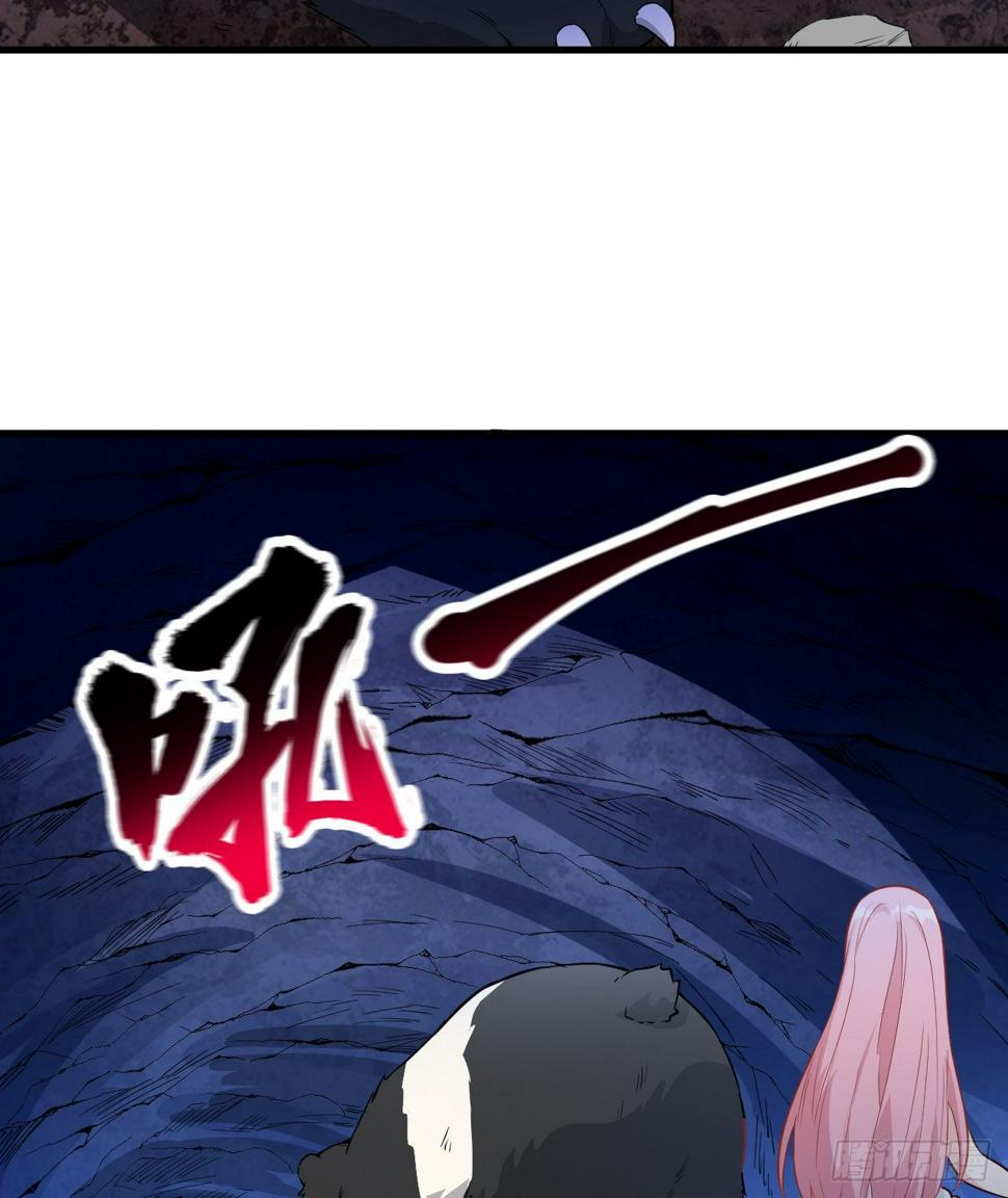010 双熊斗33