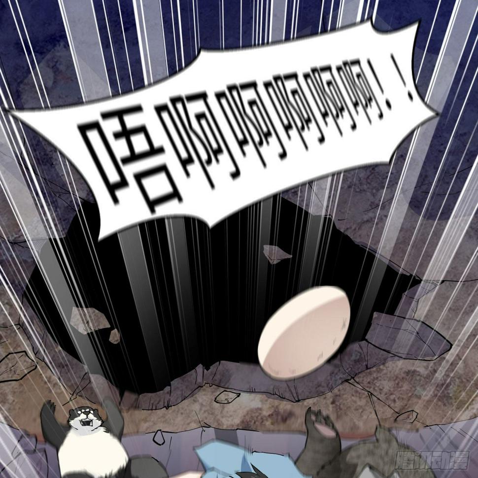 010 双熊斗71