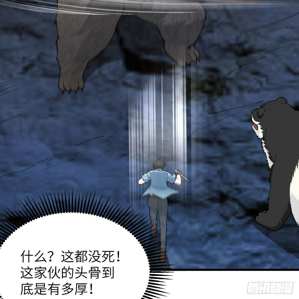 010 双熊斗65