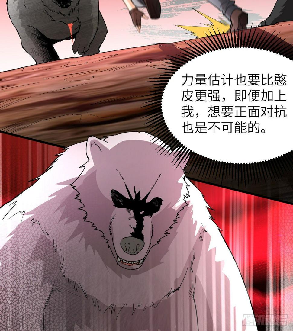 010 双熊斗52