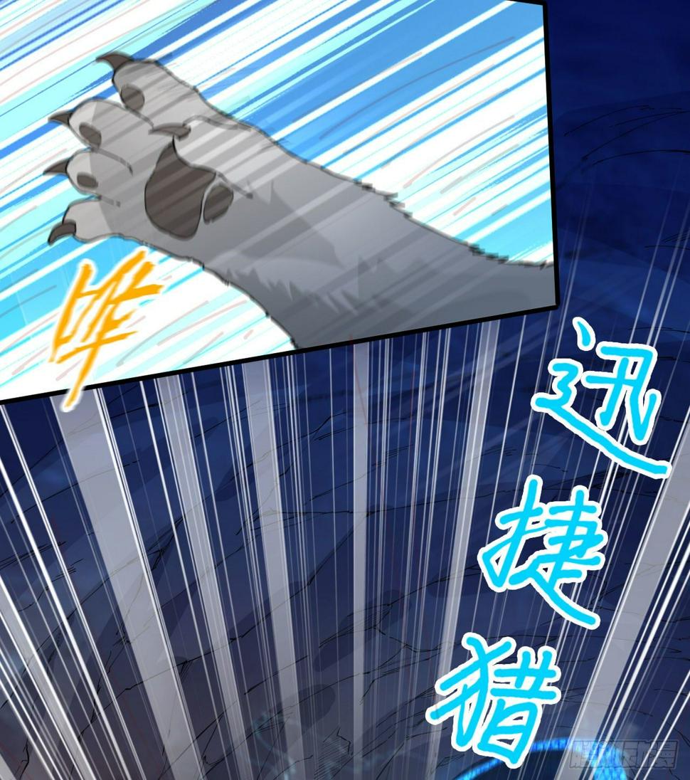 010 双熊斗48
