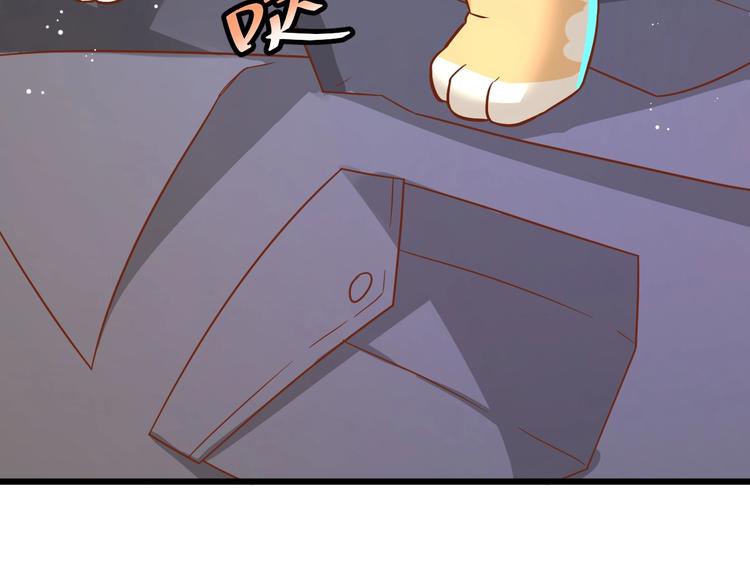 第7话 变回原形的橘猫公主9