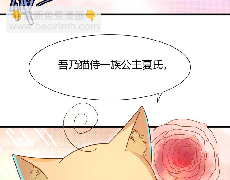 第7话 变回原形的橘猫公主71