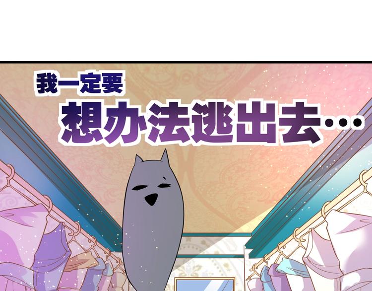 第1话 猫才不接受包办婚姻128