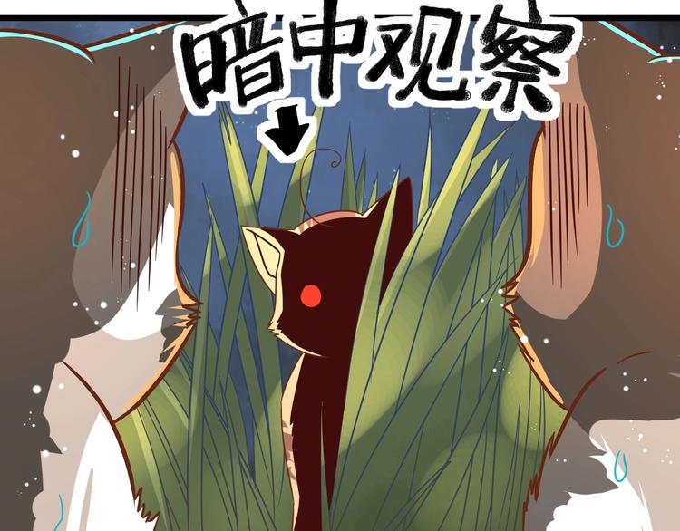 第7话 变回原形的橘猫公主35