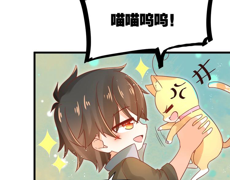 第12话 铲屎官的危机8