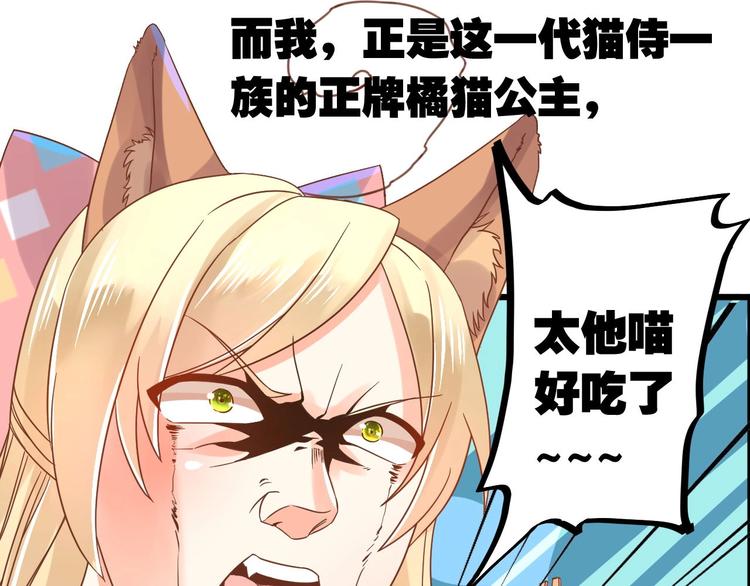 第1话 猫才不接受包办婚姻61