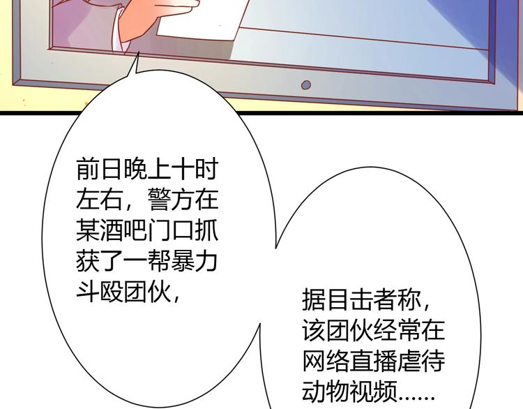 第12话 铲屎官的危机88