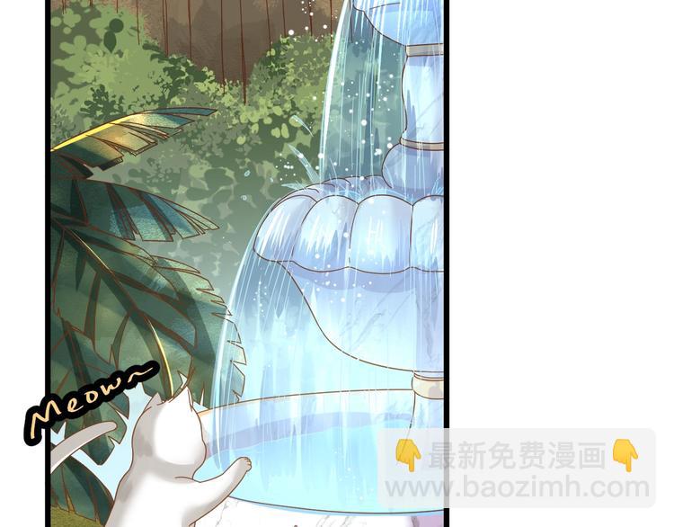 第1话 猫才不接受包办婚姻40