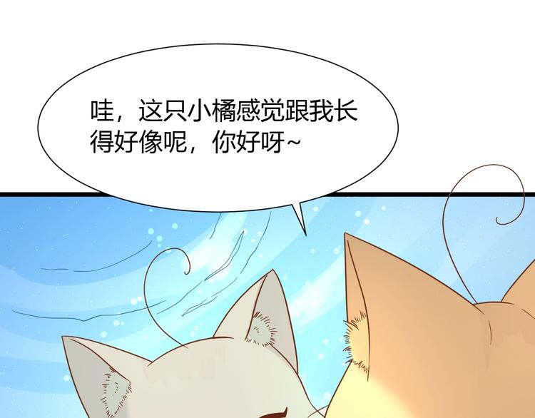 第7话 变回原形的橘猫公主14