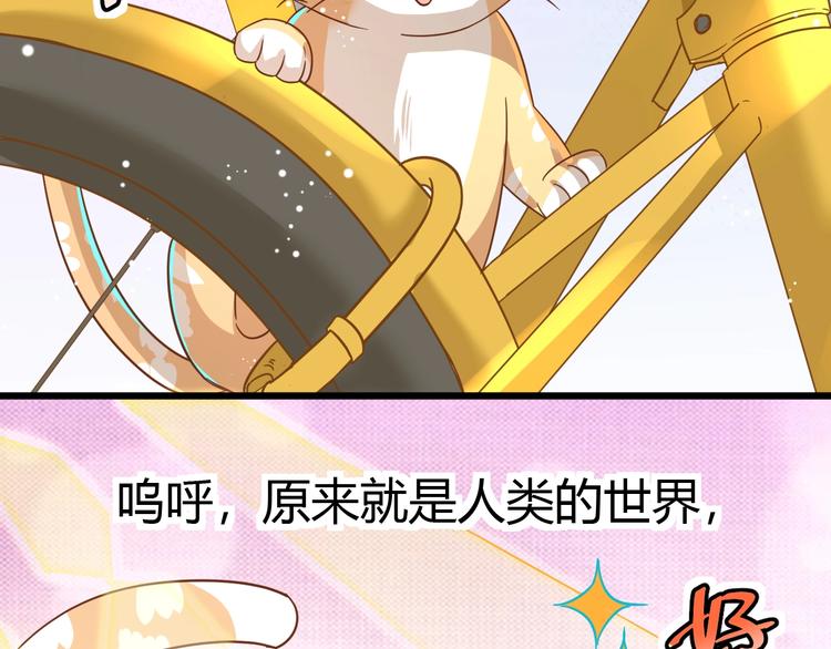 第7话 变回原形的橘猫公主40