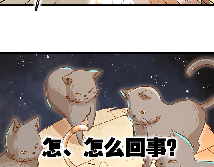 第7话 变回原形的橘猫公主75