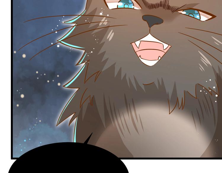 第7话 变回原形的橘猫公主77