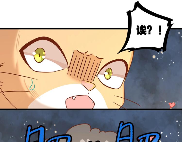 第7话 变回原形的橘猫公主44