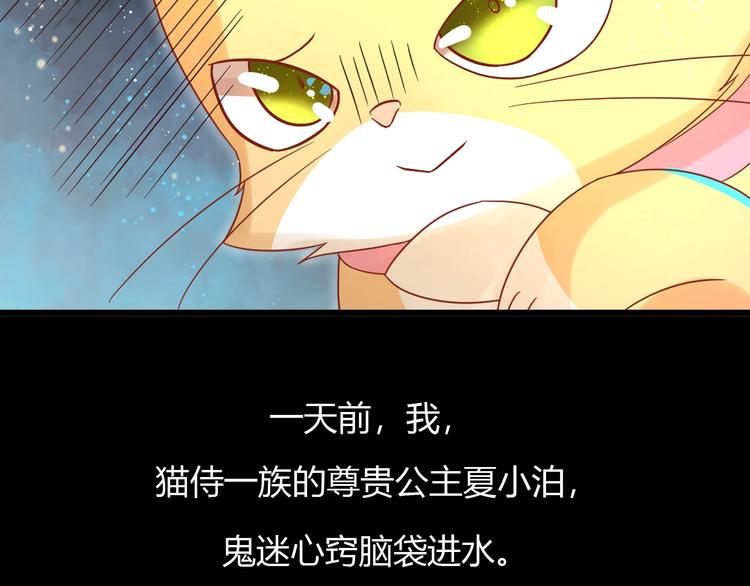 第12话 铲屎官的危机10