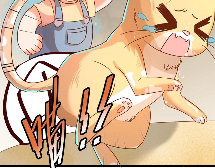 第7话 变回原形的橘猫公主48