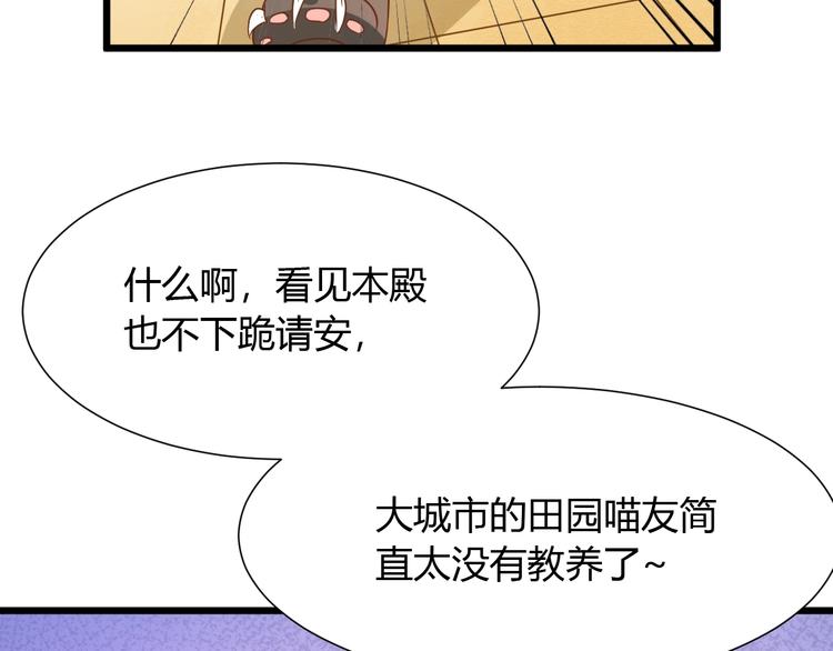第7话 变回原形的橘猫公主38