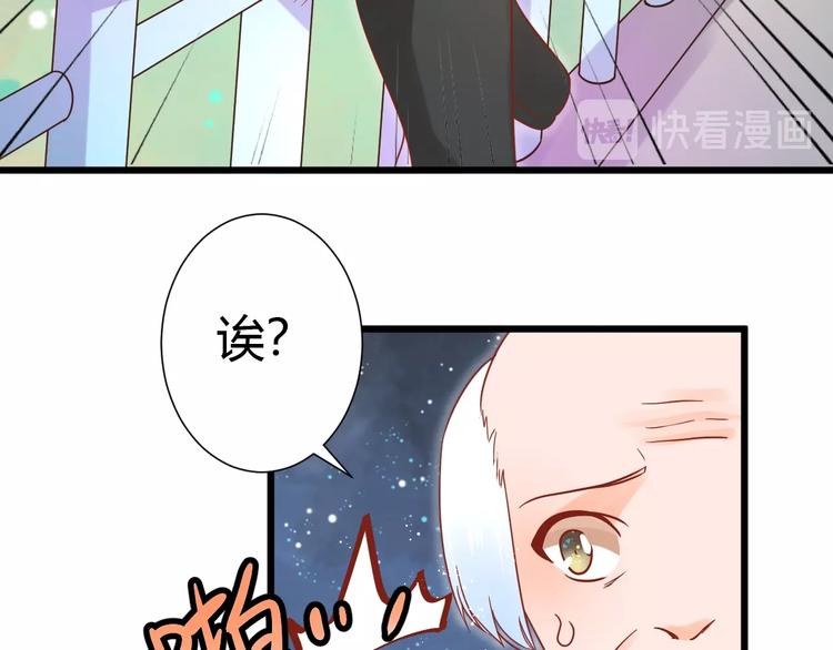 第12话 铲屎官的危机48
