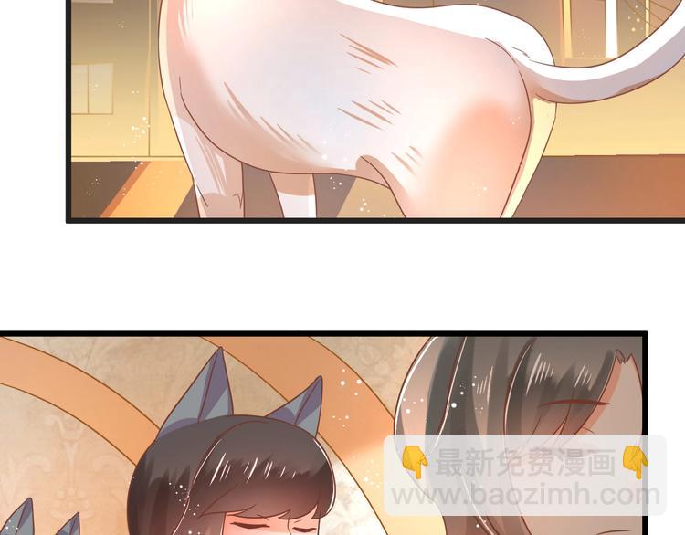 第1话 猫才不接受包办婚姻58