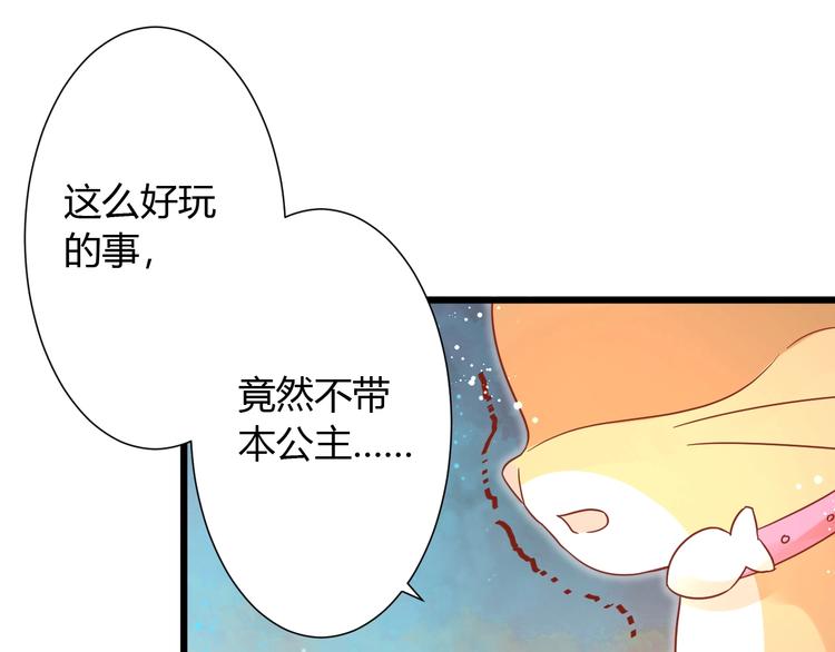 第12话 铲屎官的危机24