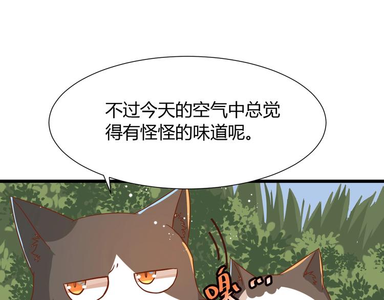 第7话 变回原形的橘猫公主32