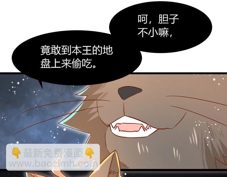 第7话 变回原形的橘猫公主64