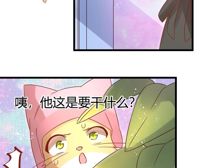 第12话 铲屎官的危机45