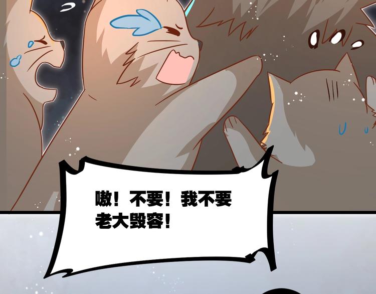 第7话 变回原形的橘猫公主87
