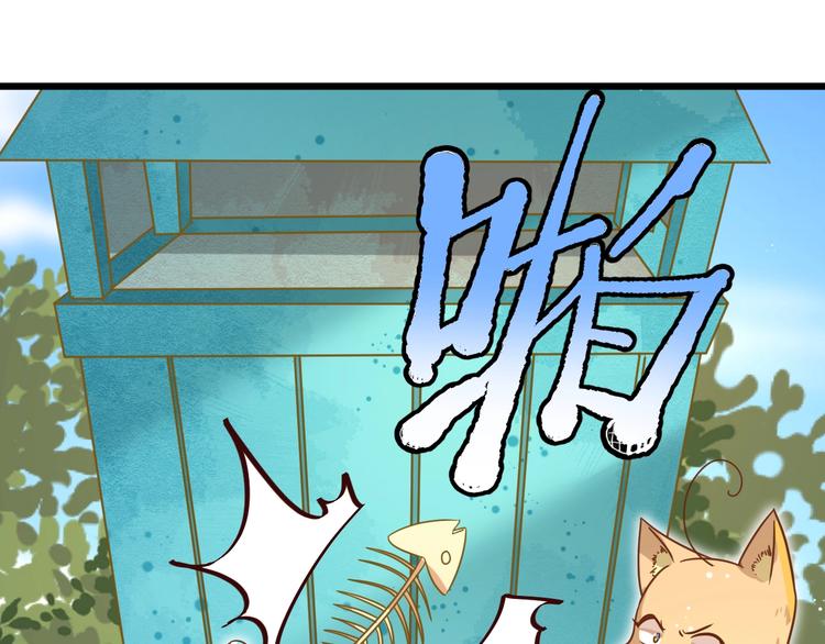 第7话 变回原形的橘猫公主62