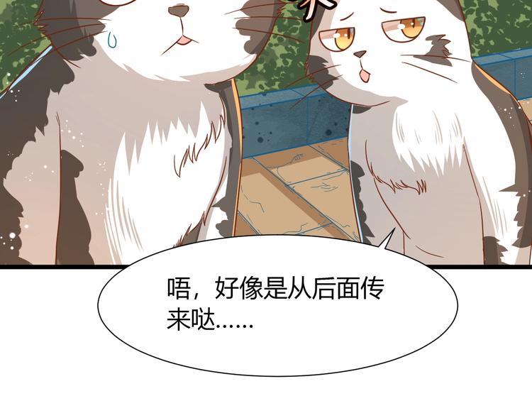 第7话 变回原形的橘猫公主33