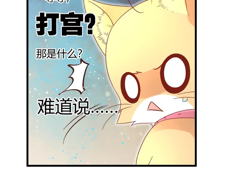 第12话 铲屎官的危机21